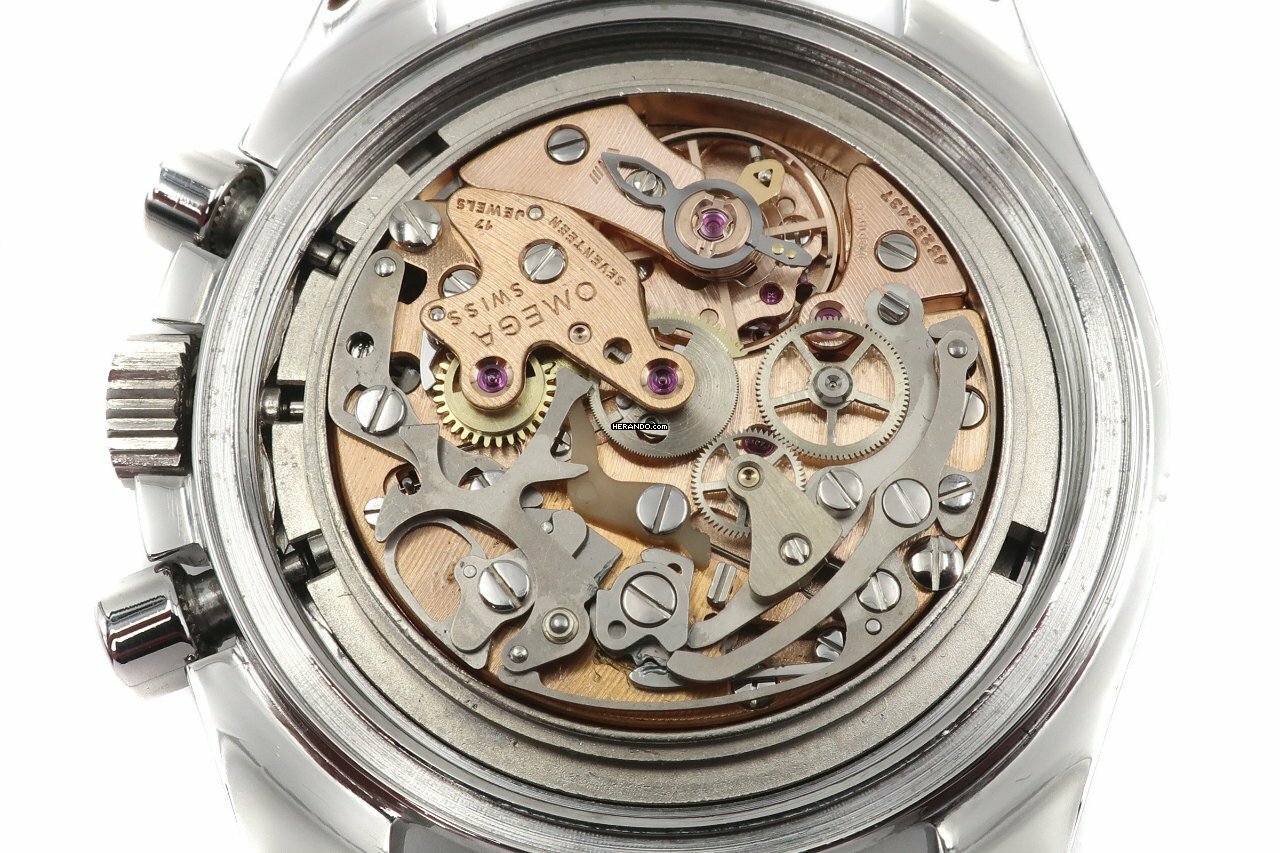 watches-319171-27289583-wnxrl9tslamtena6729n7xc3-ExtraLarge.jpg
