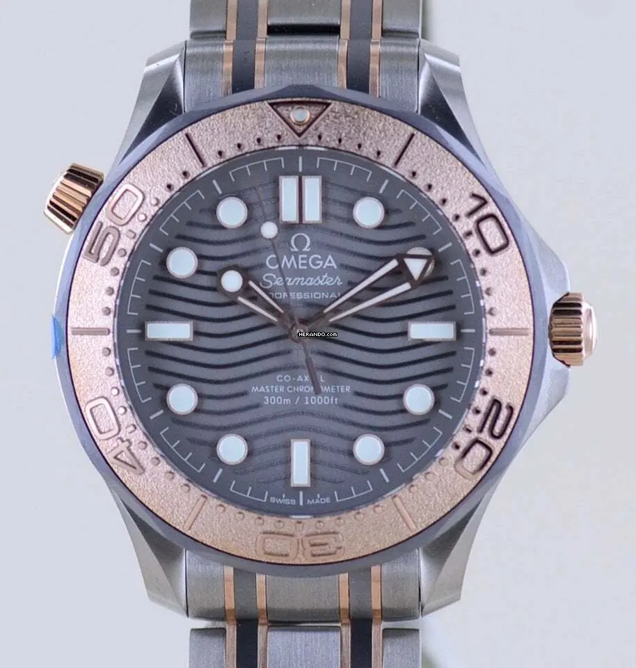 watches-319895-27419344-vl1pe55mg07j8r0dpxy7rbpb-ExtraLarge.webp