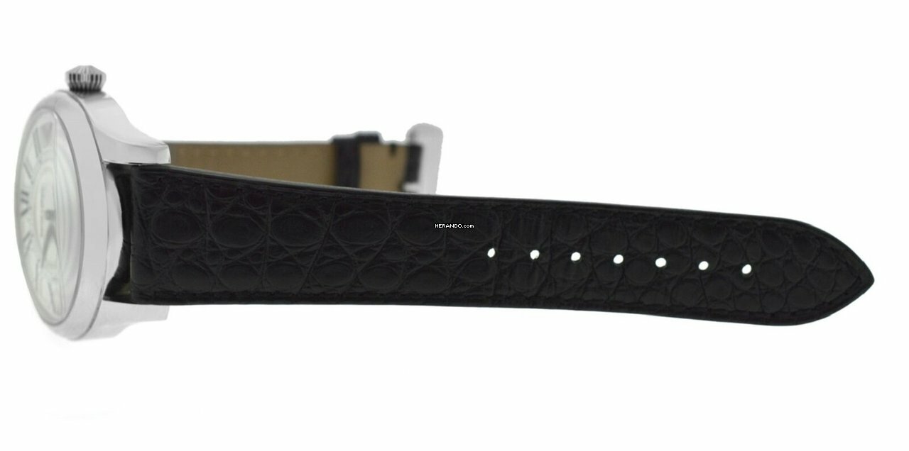 watches-320525-27468420-3uj5eherkyet0fpq8fxuh2dv-ExtraLarge.jpg