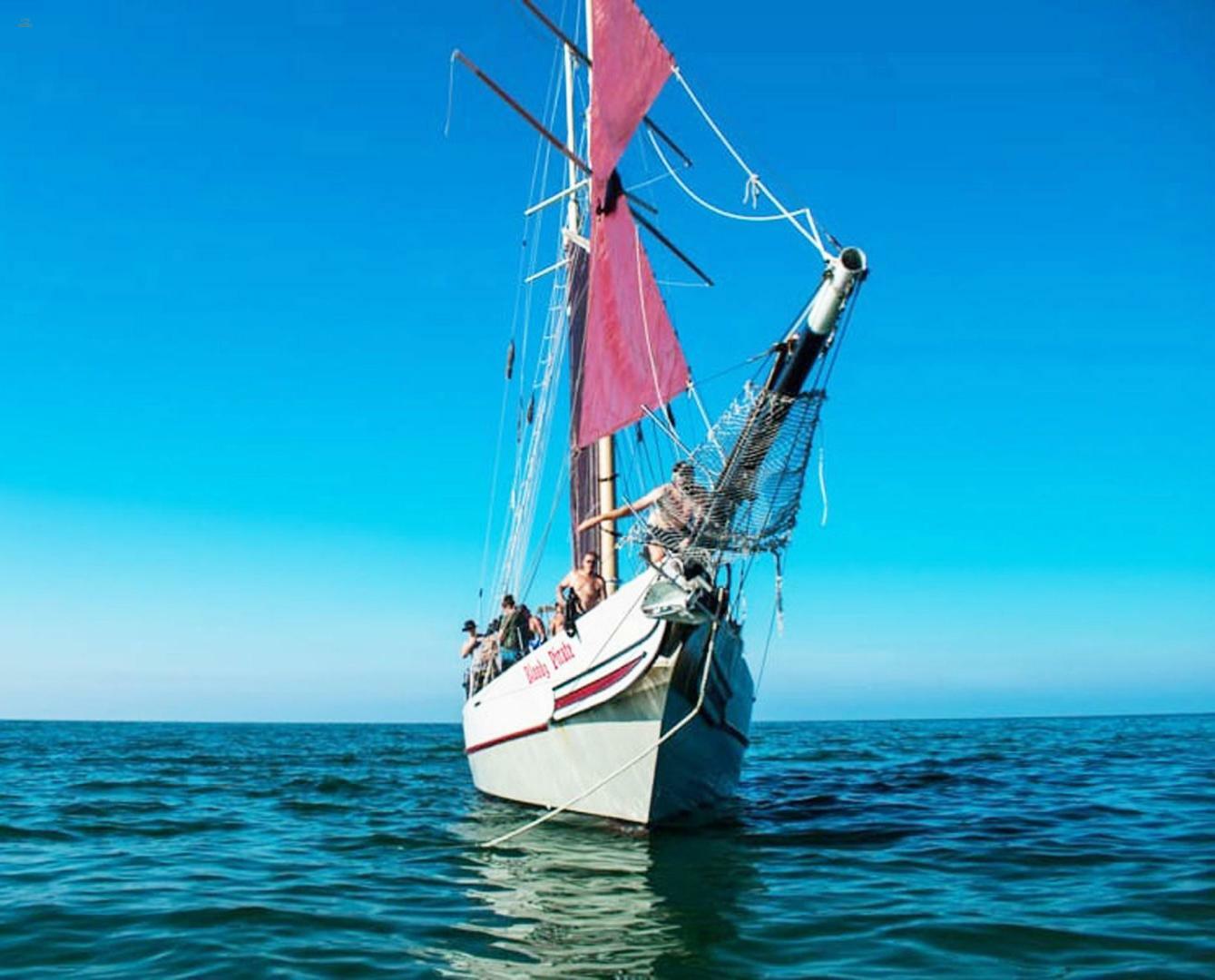 yachts-97664-375620_2.jpg