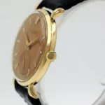 watches-338249-29470267-no6r89cn0yrpyp334qut4y6s-ExtraLarge.webp